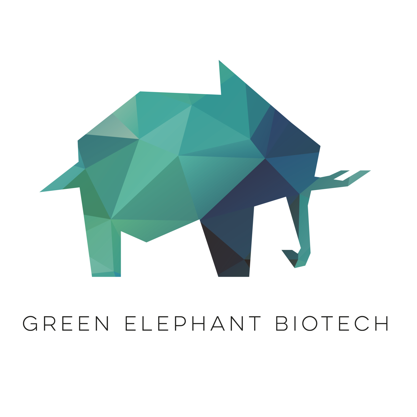 Green Elephant Biotech Teamlogo