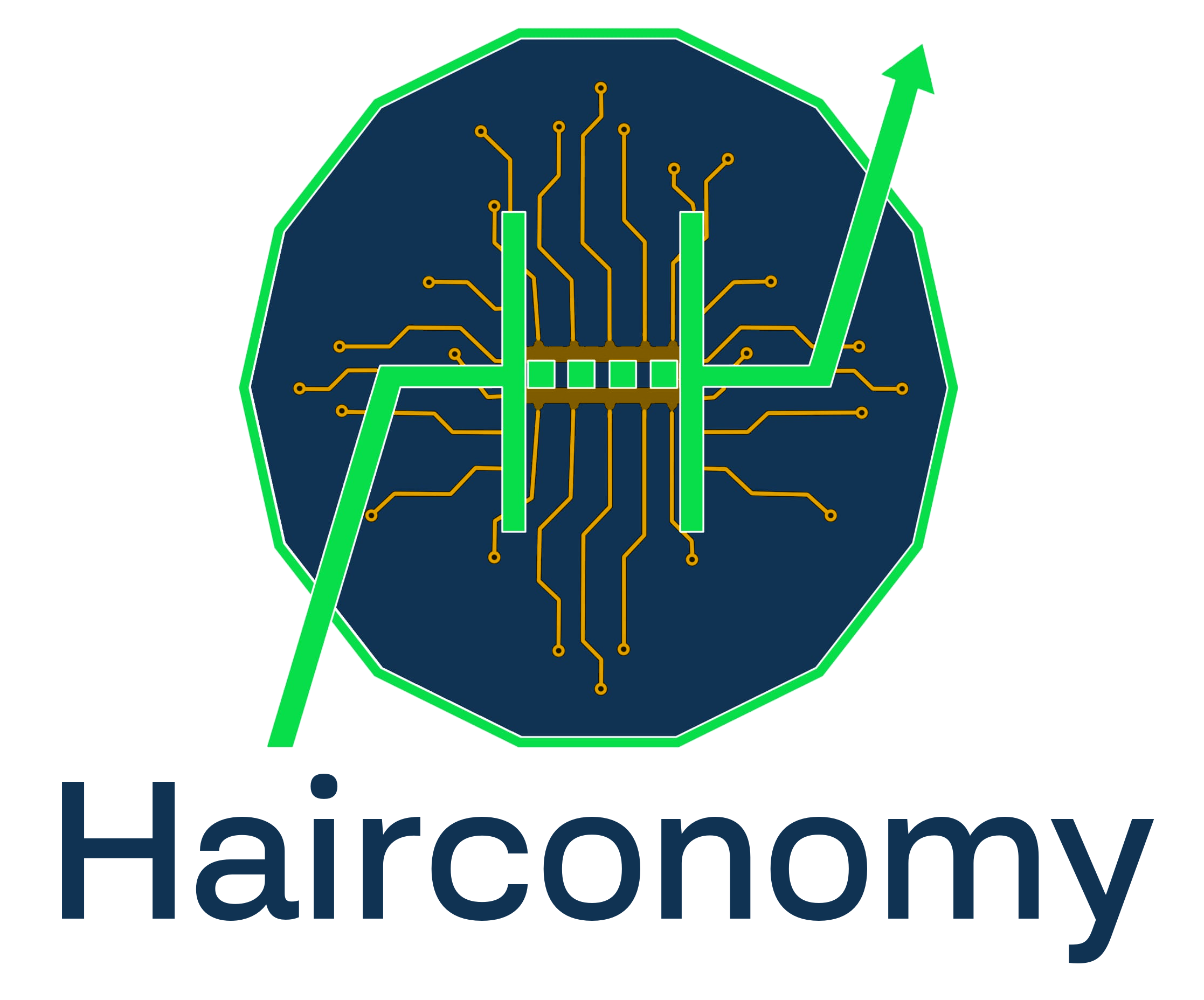 Hairconomy Teamlogo